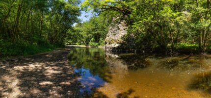 Test actualité agenda